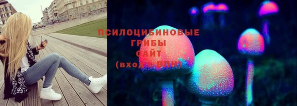 стафф Алзамай