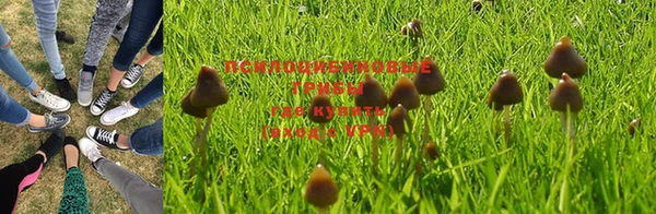 стафф Алзамай