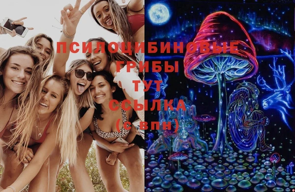mix Алексин