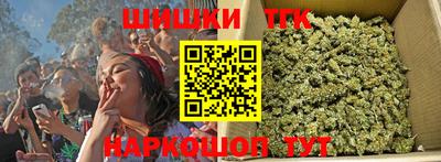 скорость Новозыбков