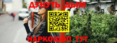 скорость Новозыбков