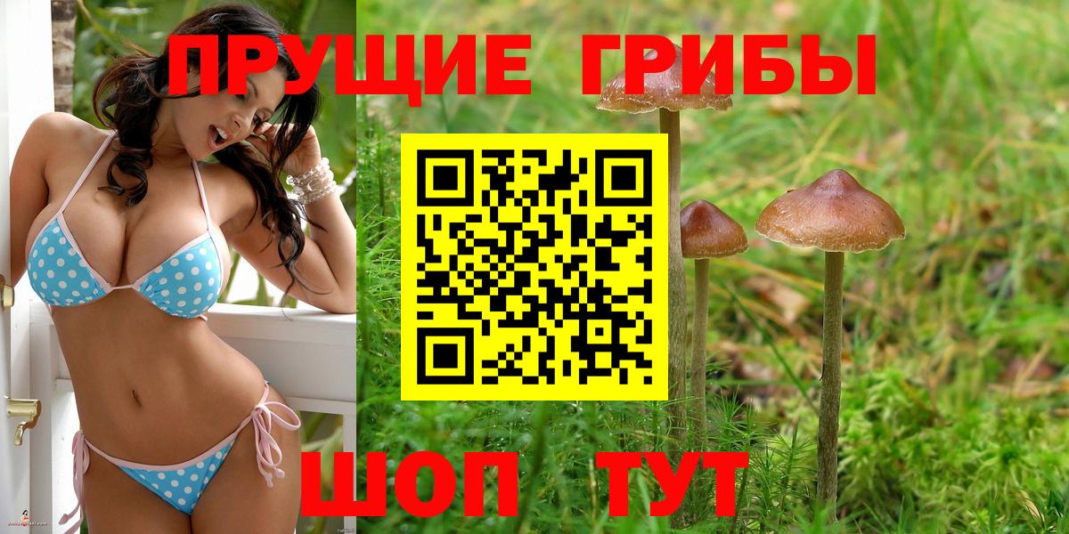 Галлюциногенные грибы мухоморы  Галлюциногенные грибы GOLDEN TEACHER  Вход с VPN  наркошоп  Серов 
